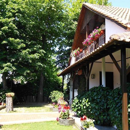 Villa Afroditi Vrasná Exterior foto